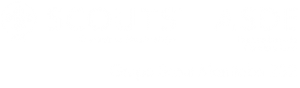 Grupo Scout 232